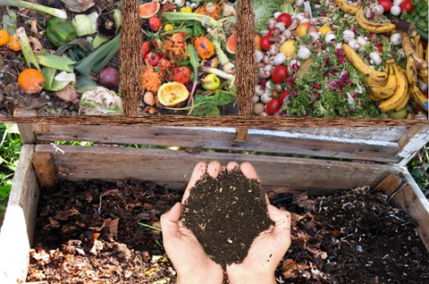 Image showing foods that can be composted