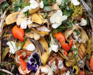 Image showing foods that can be composted