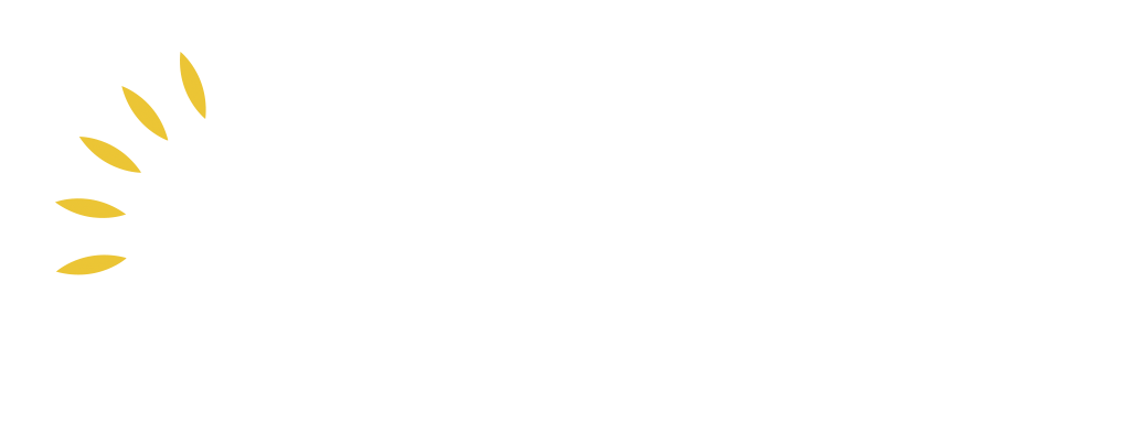Oxigen Environmental